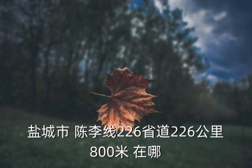 上海市美菜三倉，鹽城市 陳李線226省道226公里800米 在哪