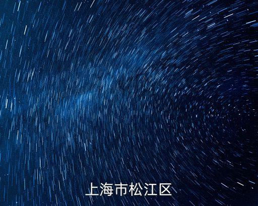 上海市松江區委員會，上海市松江區