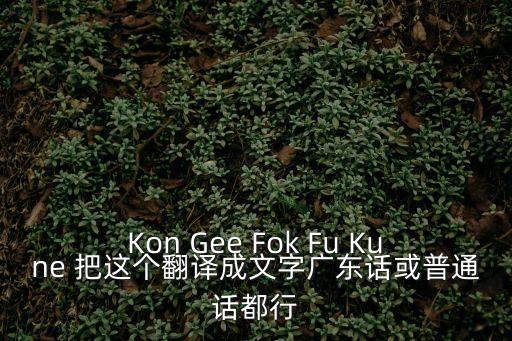 Kon Gee Fok Fu Kune 把這個翻譯成文字廣東話或普通話都行