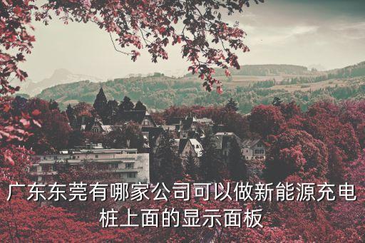 廣東東莞有哪家公司可以做新能源充電樁上面的顯示面板