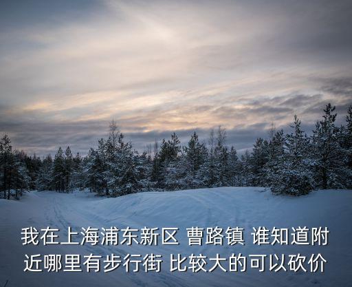 我在上海浦東新區(qū) 曹路鎮(zhèn) 誰知道附近哪里有步行街 比較大的可以砍價