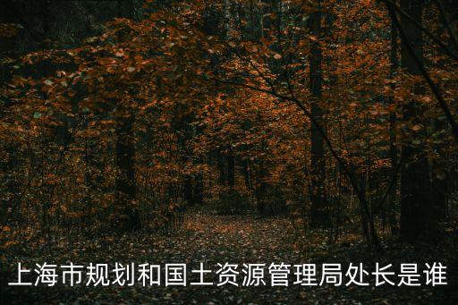 上海市規劃和國土資源管理局處長是誰