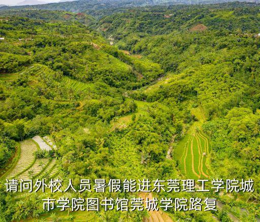 請問外校人員暑假能進東莞理工學院城市學院圖書館莞城學院路復