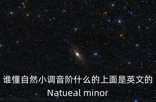 誰(shuí)懂自然小調(diào)音階什么的上面是英文的Natueal minor