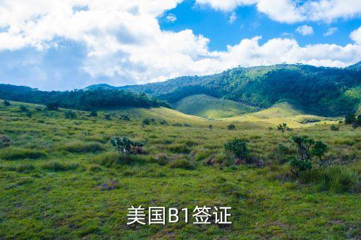 美國b1簽證，美國簽證 B1B2 代表什么