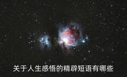 關于人生感悟的精辟短語有哪些