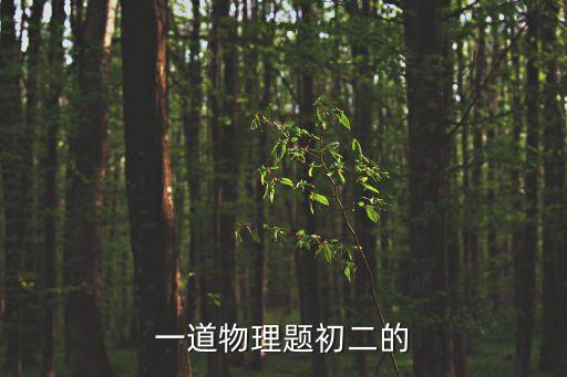 一道物理題初二的