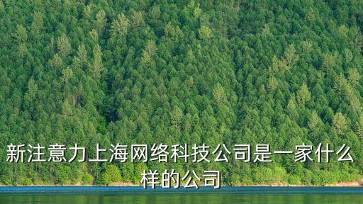 新注意力上海網絡科技公司是一家什么樣的公司