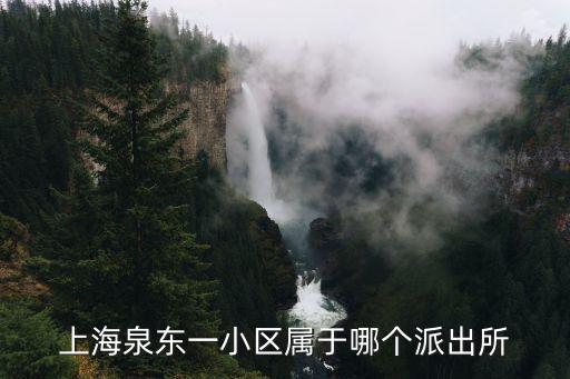 上海市東泉路回應的派出所，上海泉東一小區屬于哪個派出所