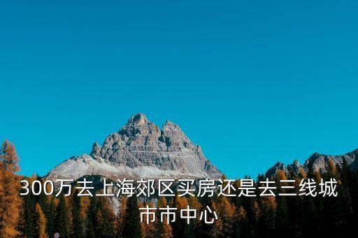 上海市中心房子300萬，300萬去上海郊區買房還是去三線城市市中心