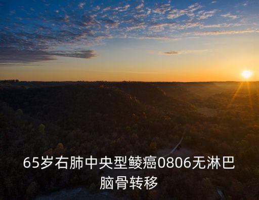 上海市肺科醫(yī)院病理科謝醫(yī)生，放射診斷兩肺紋理略增多 左下肺小結(jié)節(jié)影