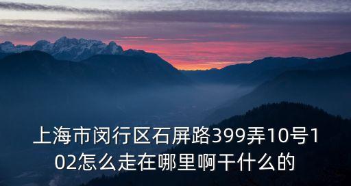 上海市閔行區石屏路399弄10號102怎么走在哪里啊干什么的