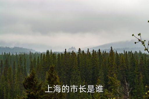 上海的市長是誰