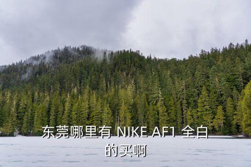東莞哪里有 NIKE AF1 全白的買啊