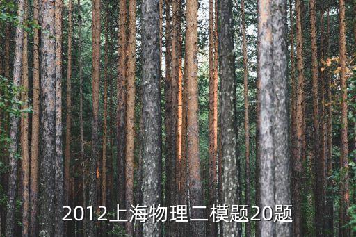 2019上海市中考二模物理答案，上海市閔行區(qū)中考二模