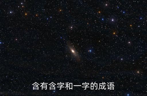 含有含字和一字的成語