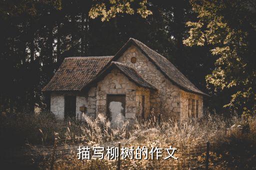 描寫柳樹的作文，描寫柳樹的作文
