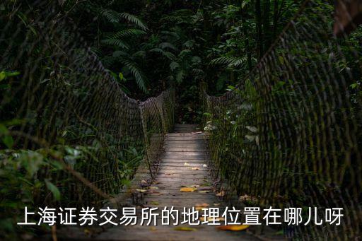 上海證券交易所的地理位置在哪兒呀