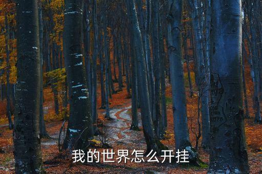 我的世界怎么開掛