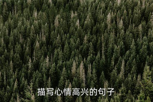 形容高興，形容高興的詞語有哪些