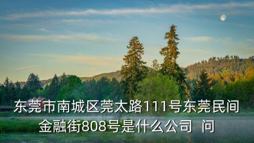 東莞市南城區莞太路111號東莞民間金融街808號是什么公司  問