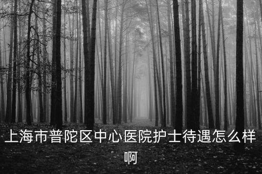 上海市普陀區中心醫院護士待遇怎么樣啊