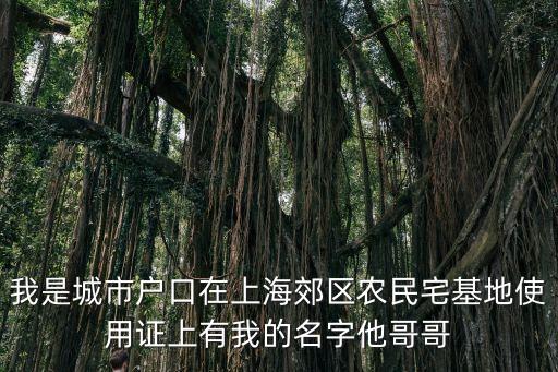 上海市農村宅基地使用證注銷，村里可以注銷宅基地證嗎
