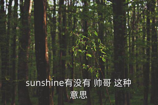 陽光帥哥，sunshine有沒有 帥哥 這種意思