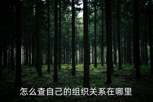 上海市中醫院組織關系，我的組織關系到底在哪啊我怎么轉正啊