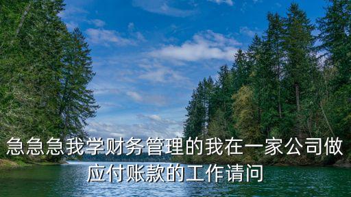 財務管理實訓報告，急急急我學財務管理的我在一家公司做應付賬款的工作請問