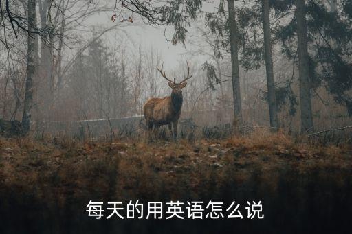 每天的用英語怎么說