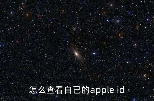 怎么查看自己的apple id
