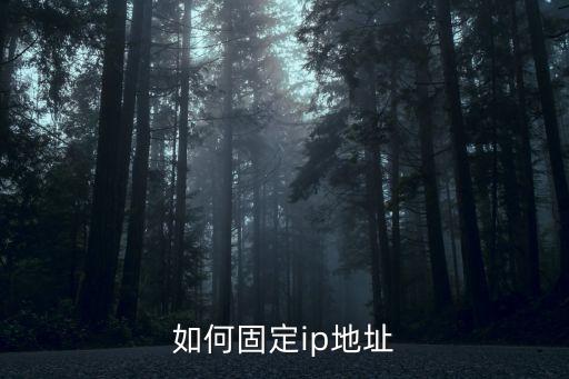 如何固定ip地址