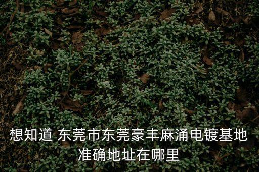 想知道 東莞市東莞豪豐麻涌電鍍基地準確地址在哪里