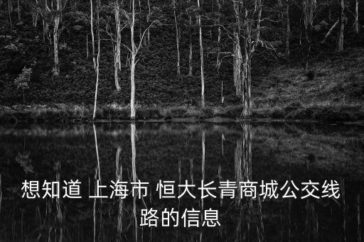 想知道 上海市 恒大長青商城公交線路的信息