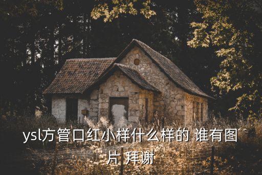 圣羅蘭口紅圖片，ysl方管口紅小樣什么樣的 誰有圖片 拜謝