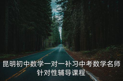 昆明初中數學一對一補習中考數學名師針對性輔導課程