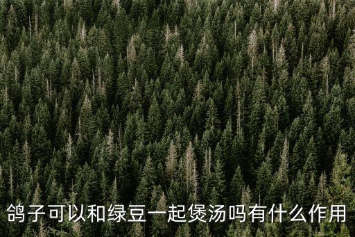 鴿子可以和綠豆一起煲湯嗎有什么作用