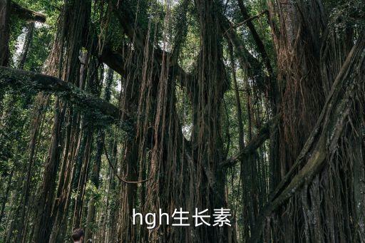 hgh生長(zhǎng)素