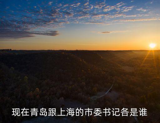 現在青島跟上海的市委書記各是誰