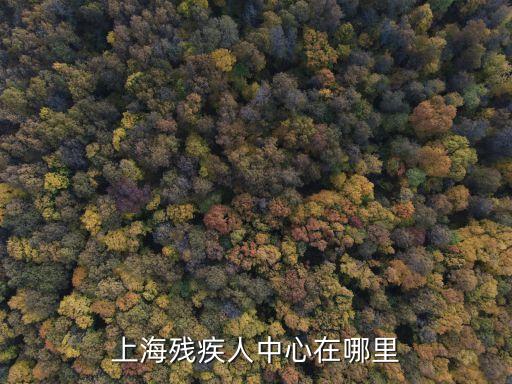 上海殘疾人中心在哪里