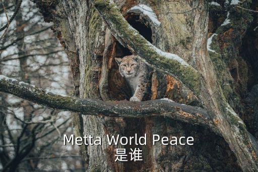 Metta World Peace是誰