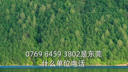 0769 8459 3802是東莞什么單位電話