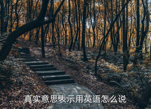 真實意思表示用英語怎么說