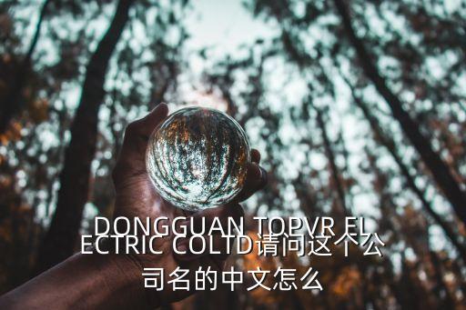 東莞力豐音響有限公司，DONGGUAN TOPVR ELECTRIC COLTD請問這個(gè)公司名的中文怎么