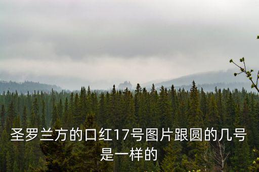 圣羅蘭方的口紅17號圖片跟圓的幾號是一樣的