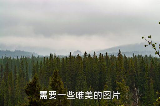 需要一些唯美的圖片