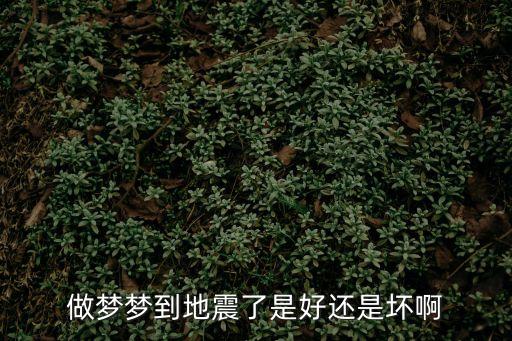 夢見大地震，周公解夢 夢見地震