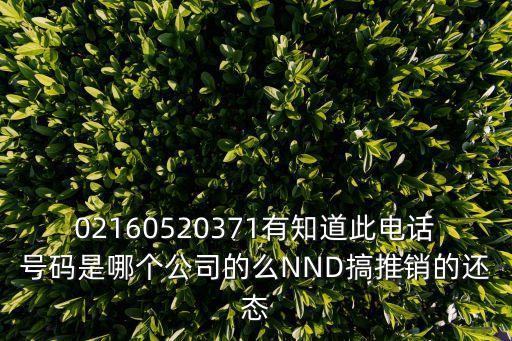 上海市虹口區人民調解委員會，02160520371有知道此電話號碼是哪個公司的么NND搞推銷的還態