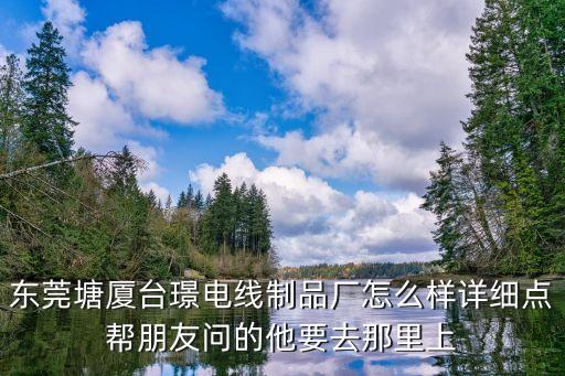 東莞泓皓電子廠，東莞銘?zhàn)╇娮佑邢薰揪W(wǎng)站地址電話有知道的嗎我想跟他們合